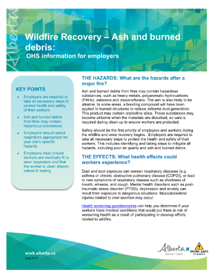 Picture of Wildfire Recovery: Ash and burned debris