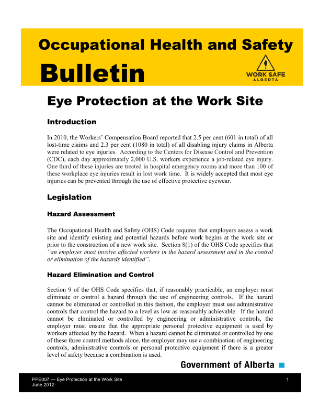 Picture of Eye Protection at the Work Site