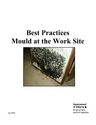 Picture of Best Practices: Mould at the Work Site
