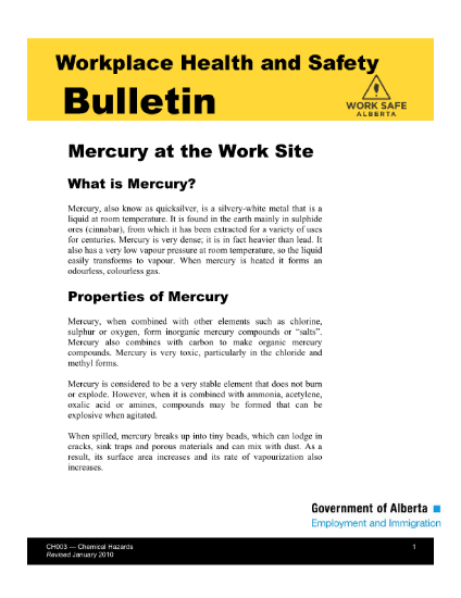 Picture of Mercury at the Work Site