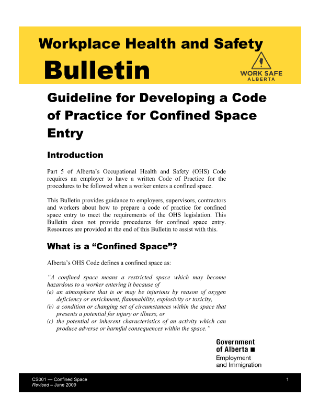 Picture of Guideline for Developing a Code of Practice for Confined Space Entry