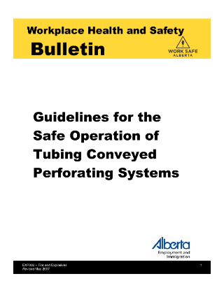 Picture of Guidelines for Safe Operation of Tubing Conveyed Perforating Systems