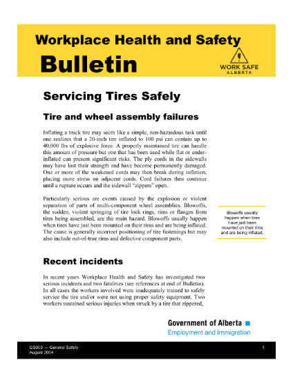 Picture of Servicing Tires Safely