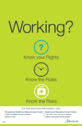 Picture of Working? Rights, rules, risks