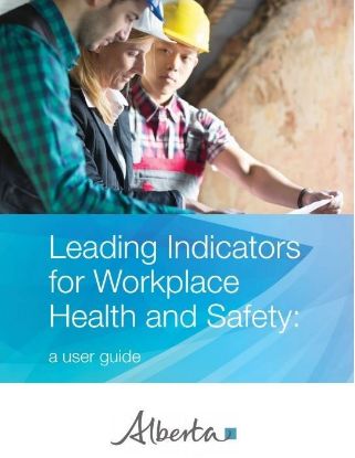 Picture of Leading Indicators for Workplace Health and Safety:  A user guide