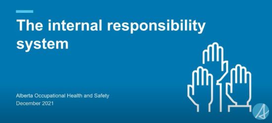 Picture of The internal responsibility system - webinar